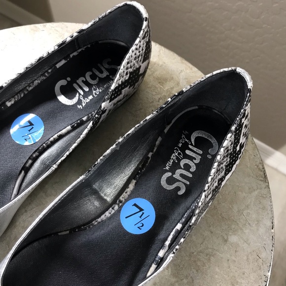 🎉NWOT-CIRCUS BY SAM EDELMAN- POINT TOE FLATS - Picture 4 of 8